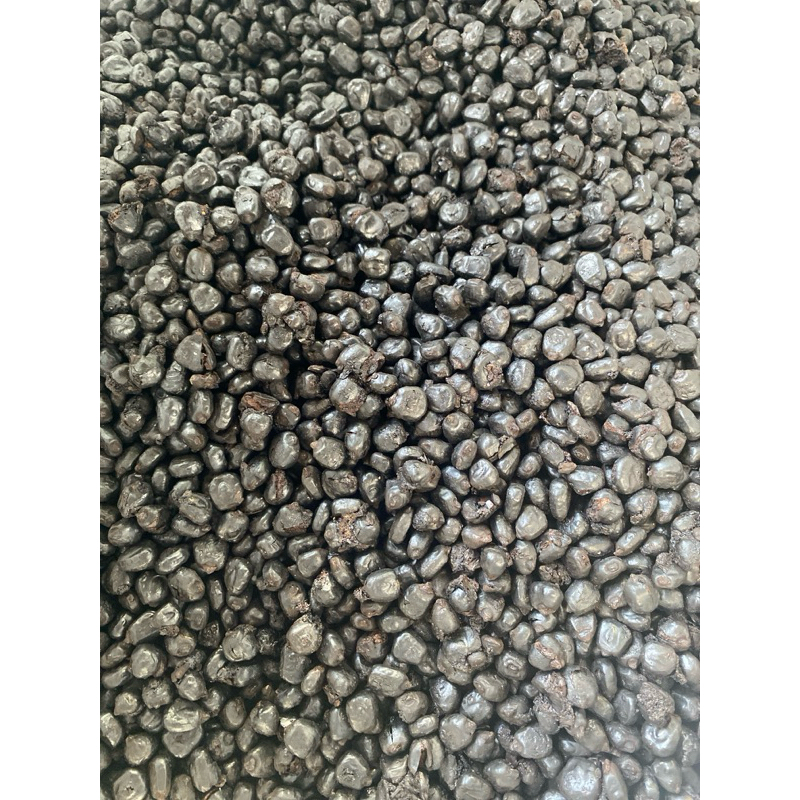 

JAGUNG SANGRAI JAGUNG OVEN JAGUNG ROASTING MALANG RAYA