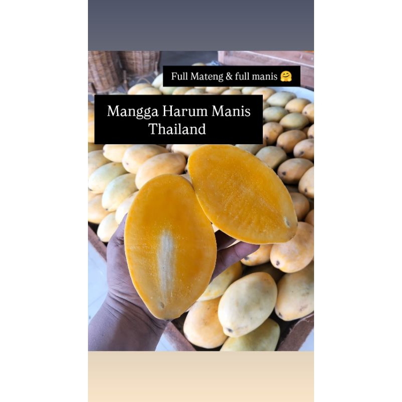 

Mangga Thailand // Mangga HR Thailand // Mangga Harum Manis Thailand // mangga Kimleng mas Thailand (Full manis tanpa serat) 1KG