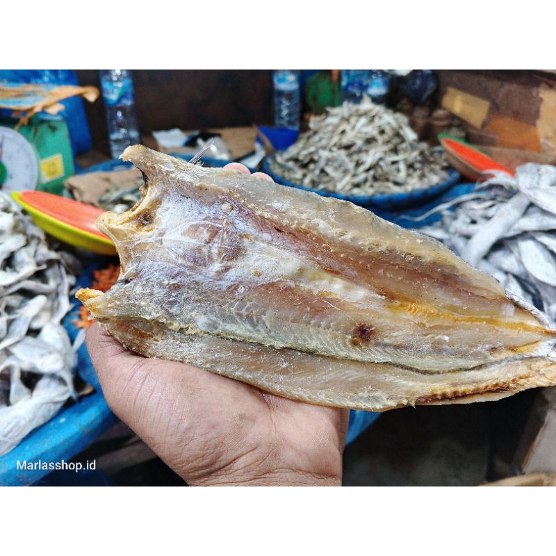 

GABUS ASIN BELAH 500 Gram