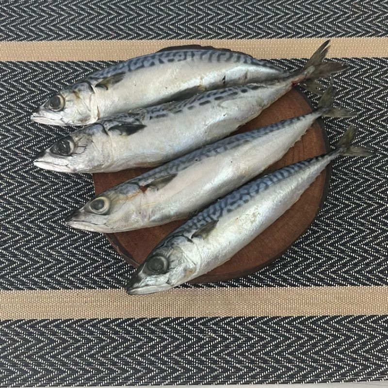 

Ikan Salem/Serupa Tongkol (1 ekor ±100gram)