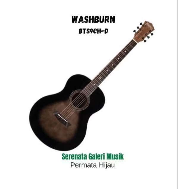 Gitar Akustik WASHBURN BTS9CH-D/Gitar Akustik