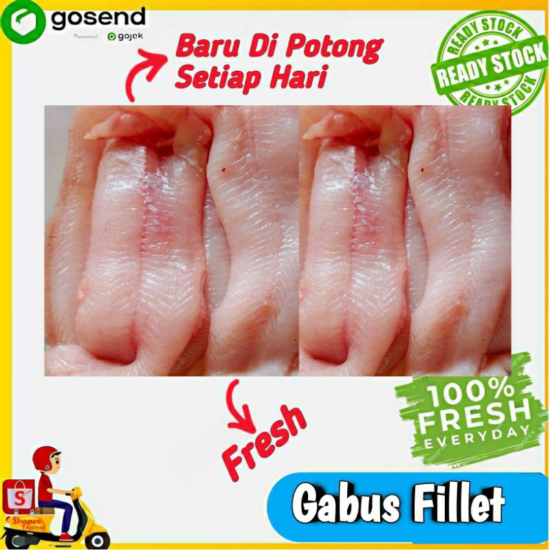 

Daging Ikan Gabus Fillet Segar - Ikan Segar Palembang