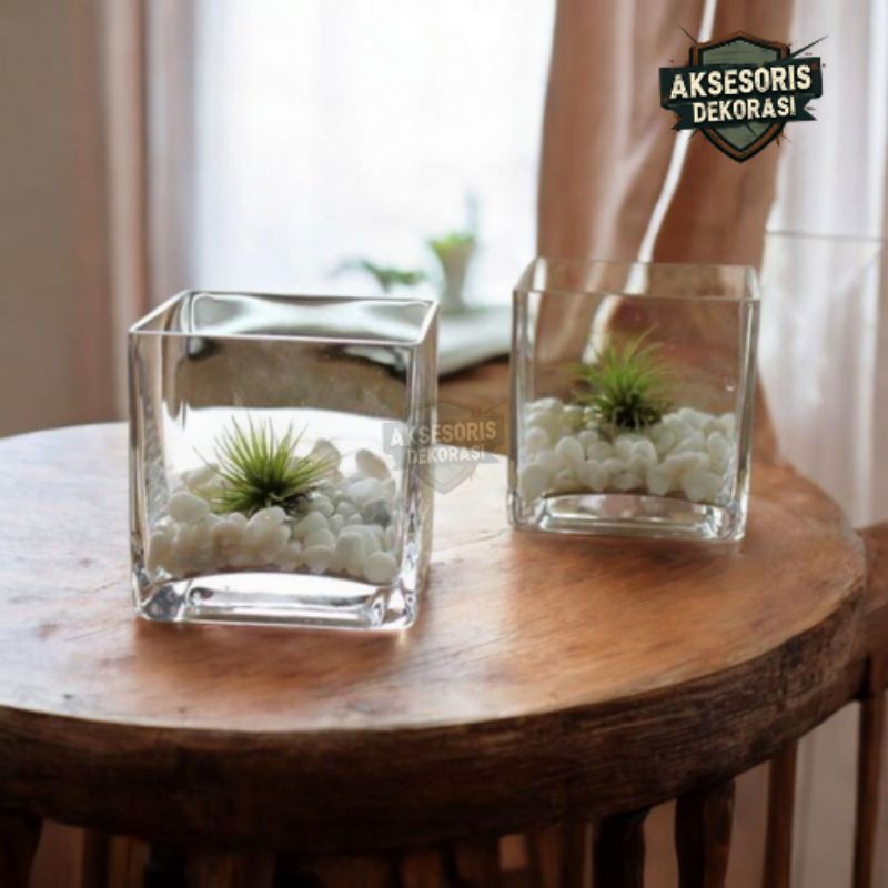 Vas Kaca Persegi Kotak 8x8 cm | Vas Kaca Estetik | Vas Kaca Bunga | Vas Kaca Tanaman | Vas Tanaman H