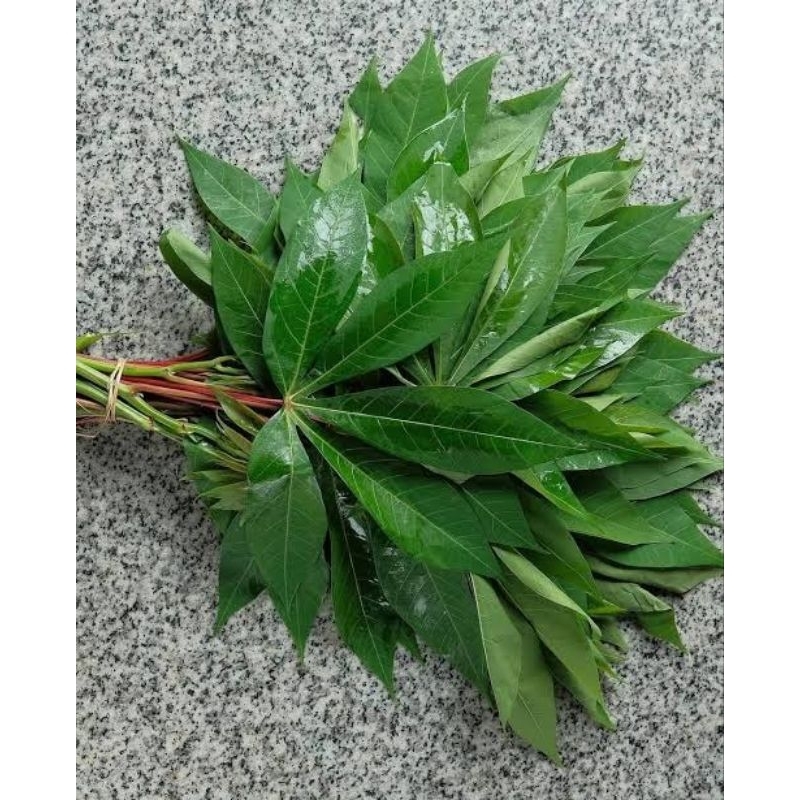 

Daun singkong