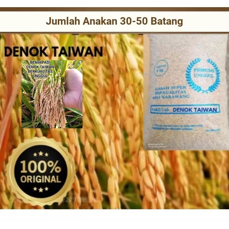 BENIH PADI DENOK TAIWAN BERKUALITAS UNGGUL KEMASAN 10KG