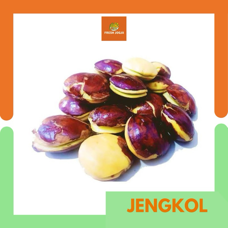 

Jengkol | Fresh Jogja