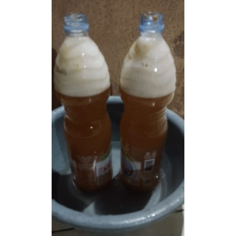 

madu murni asli