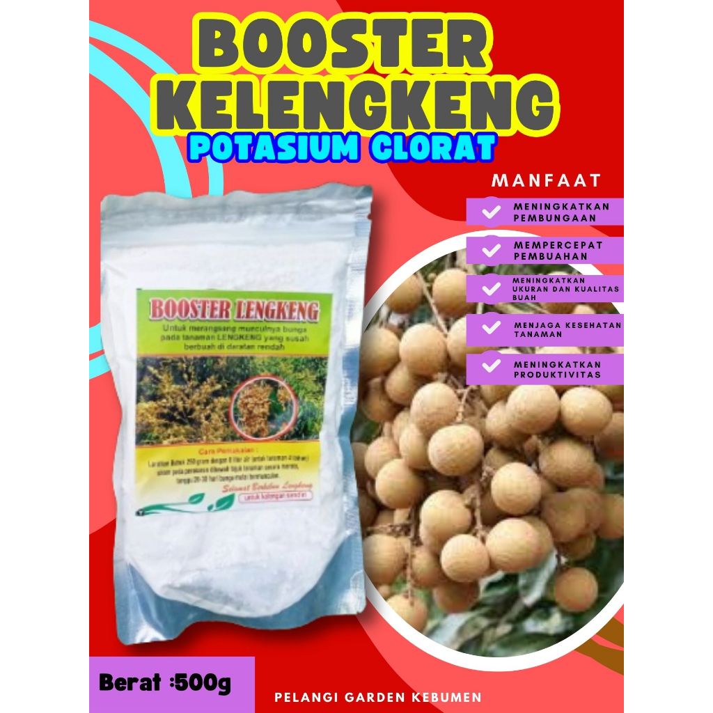 BEST SELLER  Boster Kelengkeng Kcl03, Boster Kelengkeng Kclo 3 Murni, Boster Kelengkeng Kclo 3