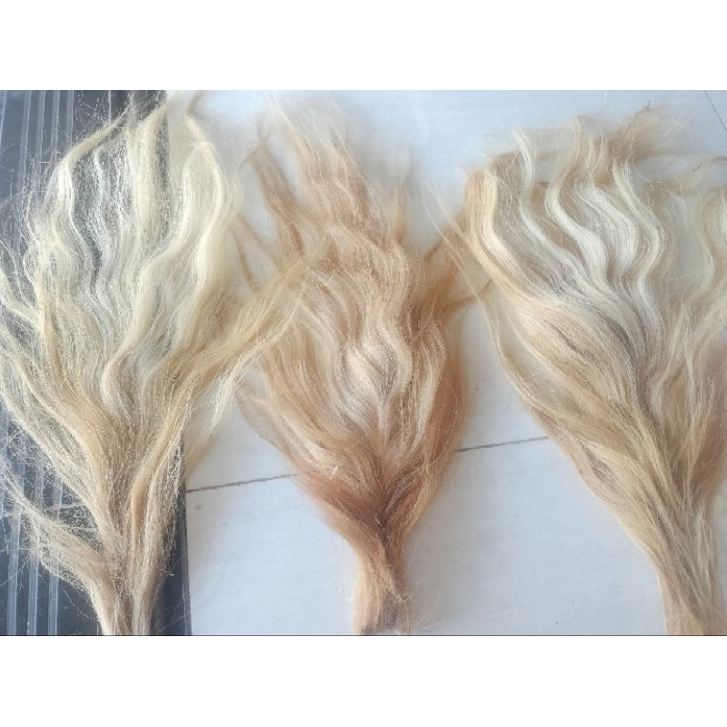 ekor sapi/rambut sapi/rambut sapi putih