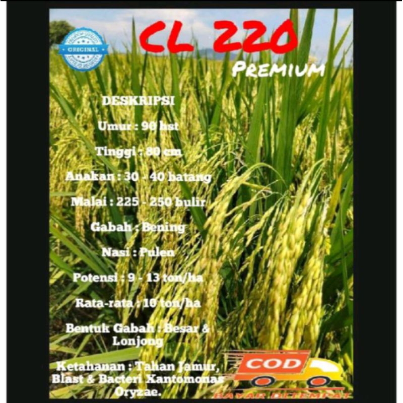 benih padi CL220 kemasan 5kg