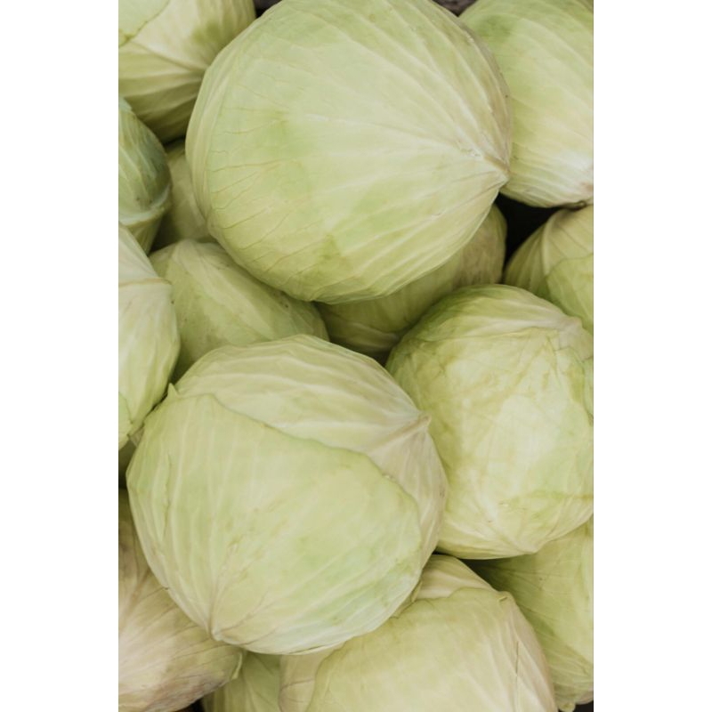 

kubis/cabbage fresh 2kg