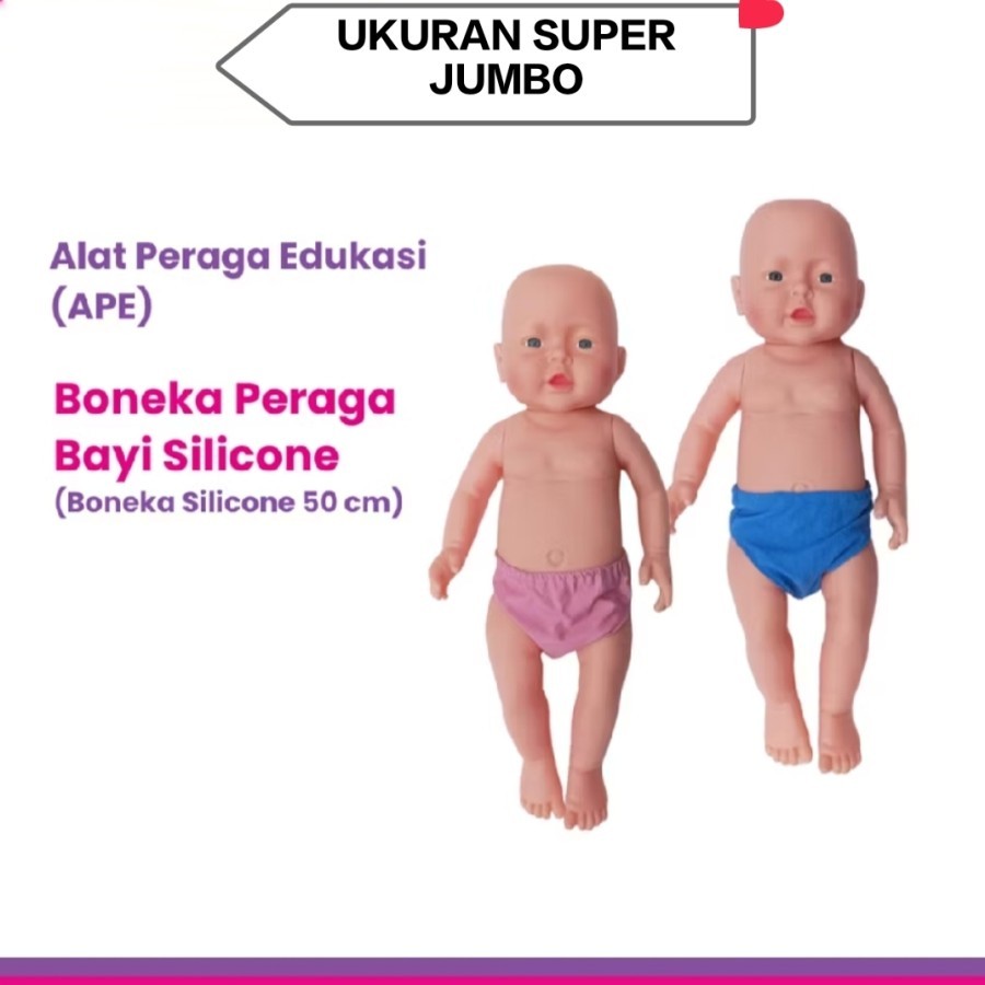MAINAN EDUKASI ANAK BONEKA KELAMIN BAYI GENDER FULL KARET-BONEKA PRAKTEK PERAGA KEDOKTERAN GENDER LA