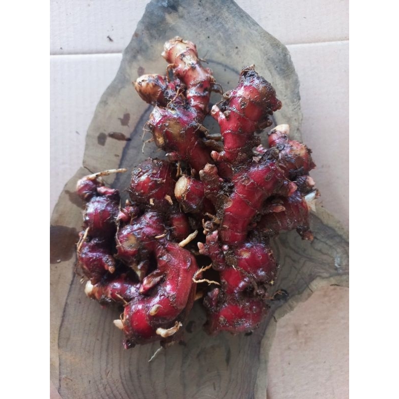 

jahe merah segar 250gram