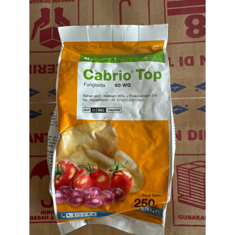 Fungisida CabrioTop
