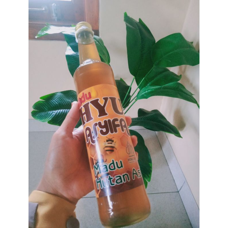 

madu hutan asli petani