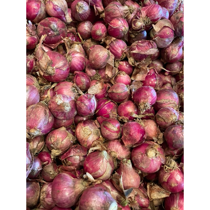 

BAWANG MERAH LOKAL JUMBO BESAR 1kg