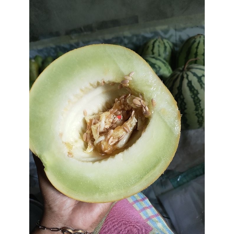 

melon madu