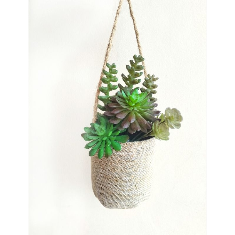succulent gantung, sukulen artifisial gantung