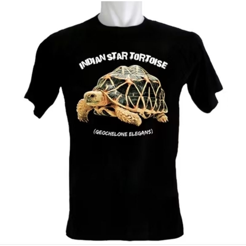 KAOS KURA KURA INDIAN STAR TORTOISE