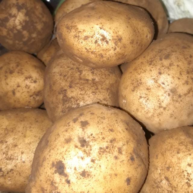 

Kentang AB segar asli wonosobo dieng bisa kirim instant 250gr