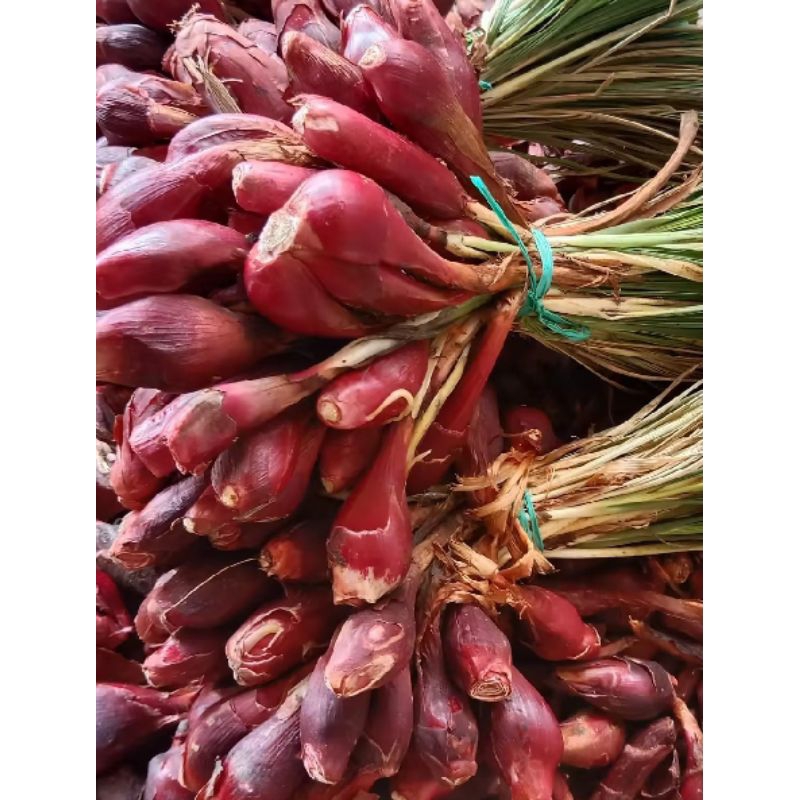 

BAWANG DAYAK BABAWANGAN 500 GR