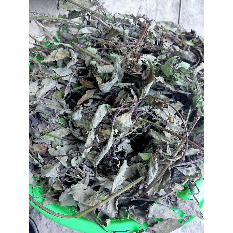 

Daun kumis kucing kering tanpa campuran 100% asli herbal alami 500gram