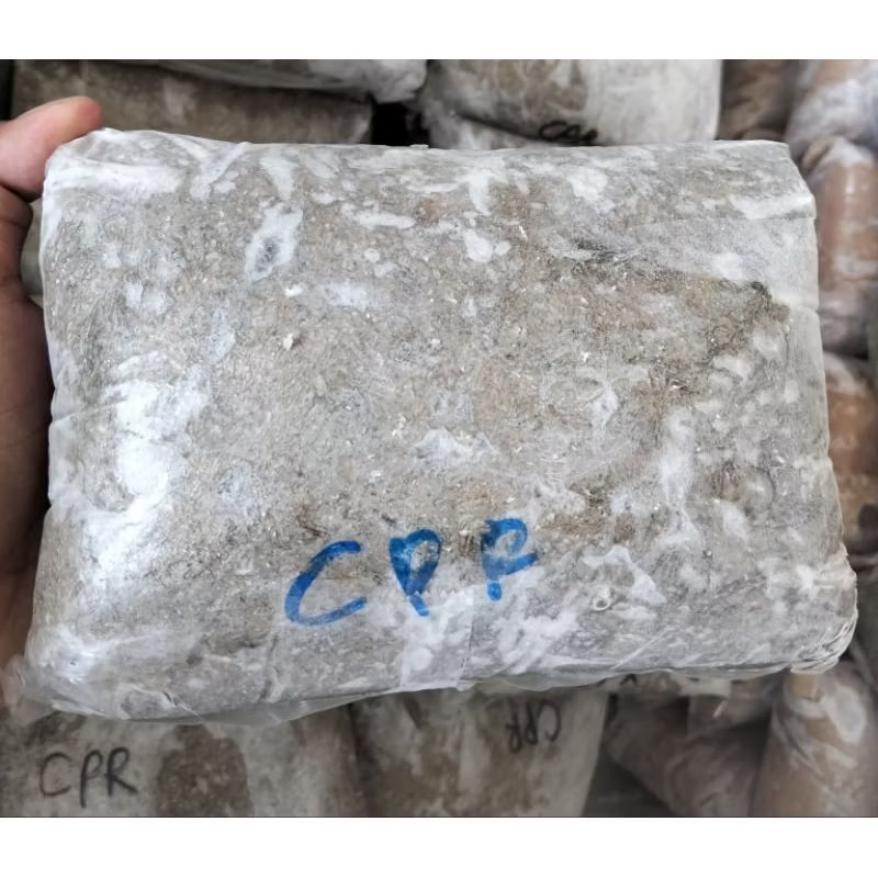 

ikan giling pempek kakap tenggiri cpr