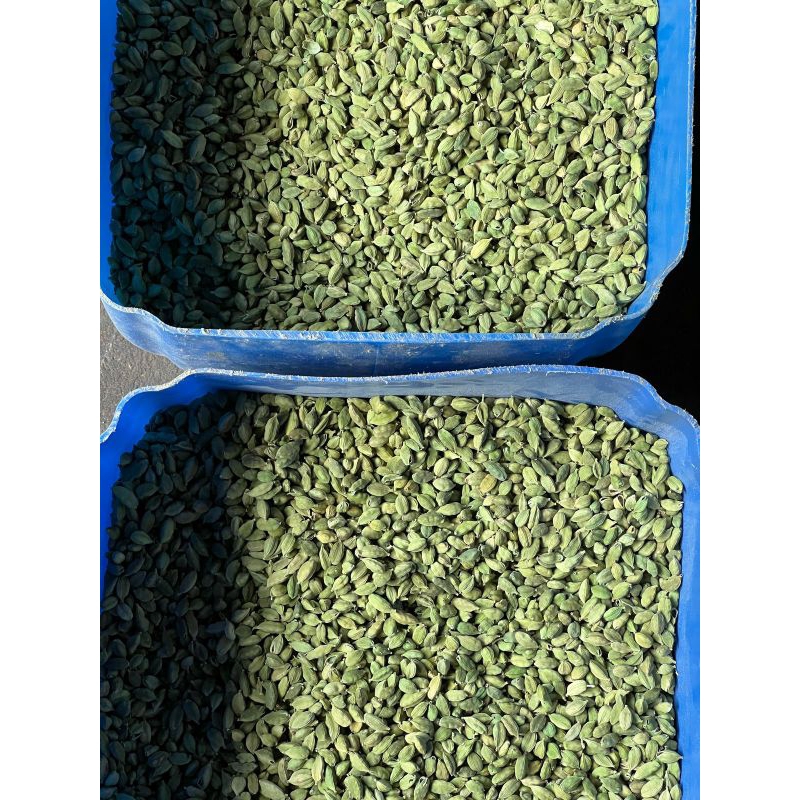 

kapolaga made in india merek green cardamond kemasan 250 g, 500 g, dan 1 kg