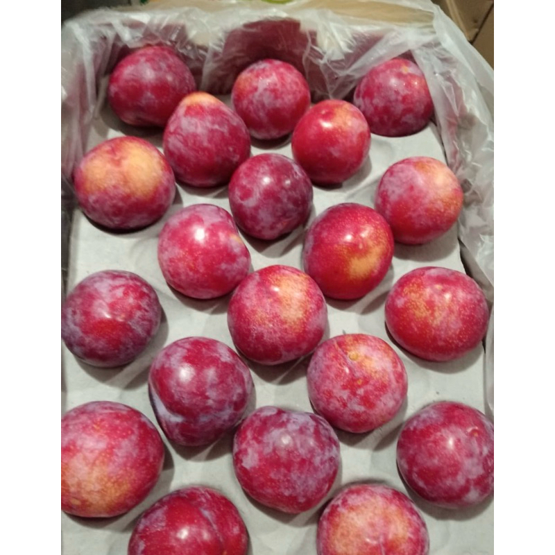 Buah plum red afrika | Plum merah import 1 kg