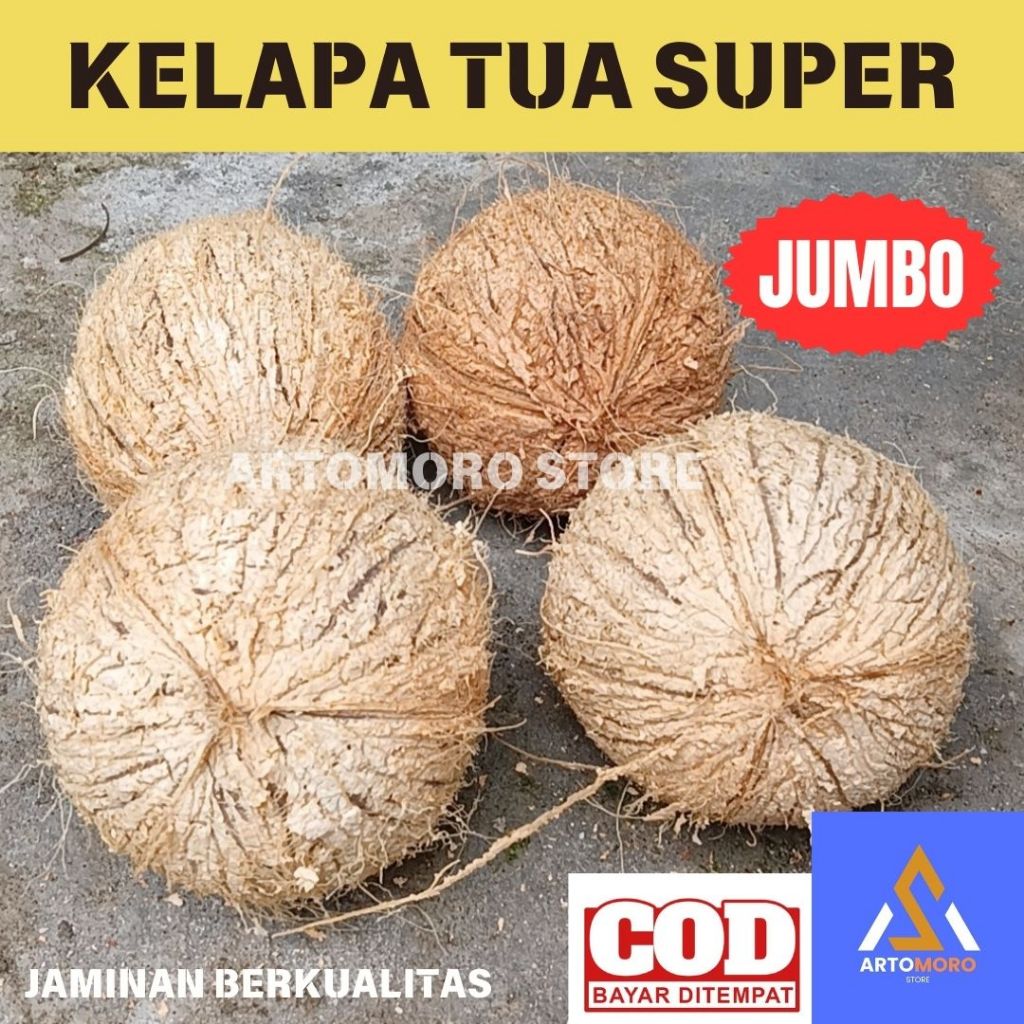 

KELAPA TUA KUPAS | KELAPA SUPER | KELAPA UTUH BESAR