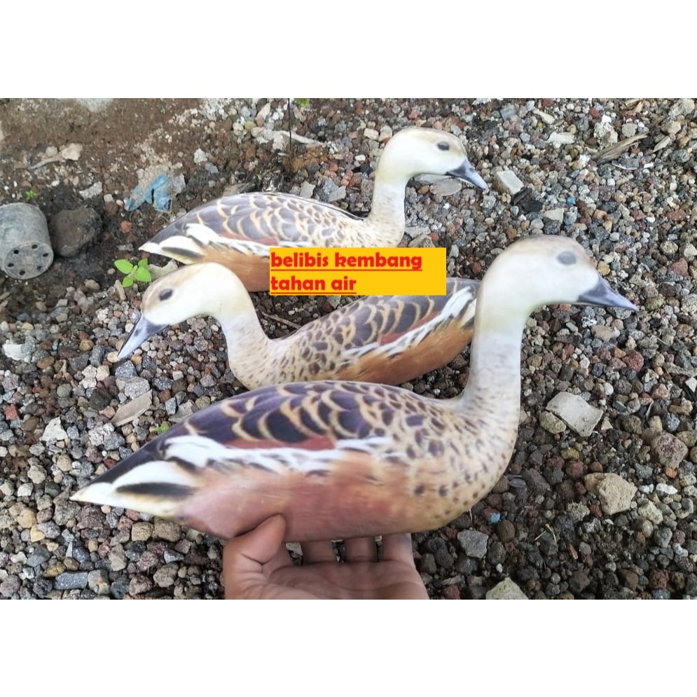 JONTROT BELIBIS KEMBANG MIRIP ASLI TAHAN AIR PENYOK PATUNG BELIBIS PIKAT MANUK WALIWIS AMPUH