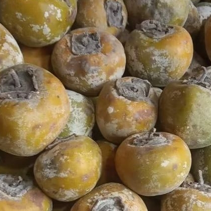 KESEMEK LOKAL/BUAH GENIT/BUAH LANGKA