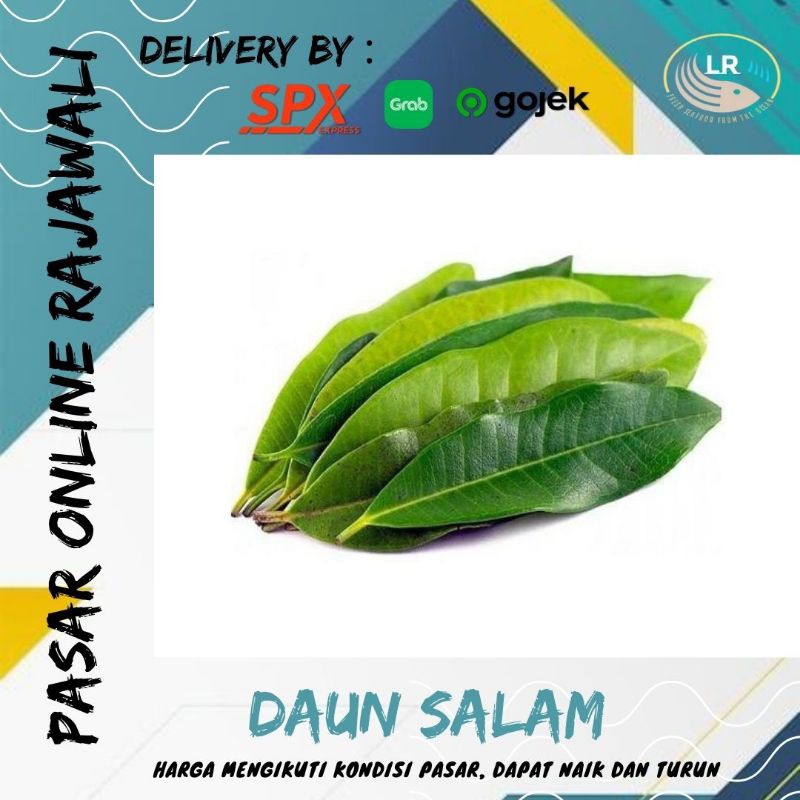 

Daun salam