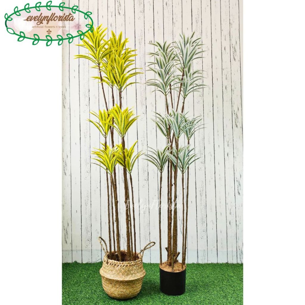Tanaman Artificial Pohon Hias Song Of India T170 Variasi Warna Kuning & Putih Latex Cover Purun Bell