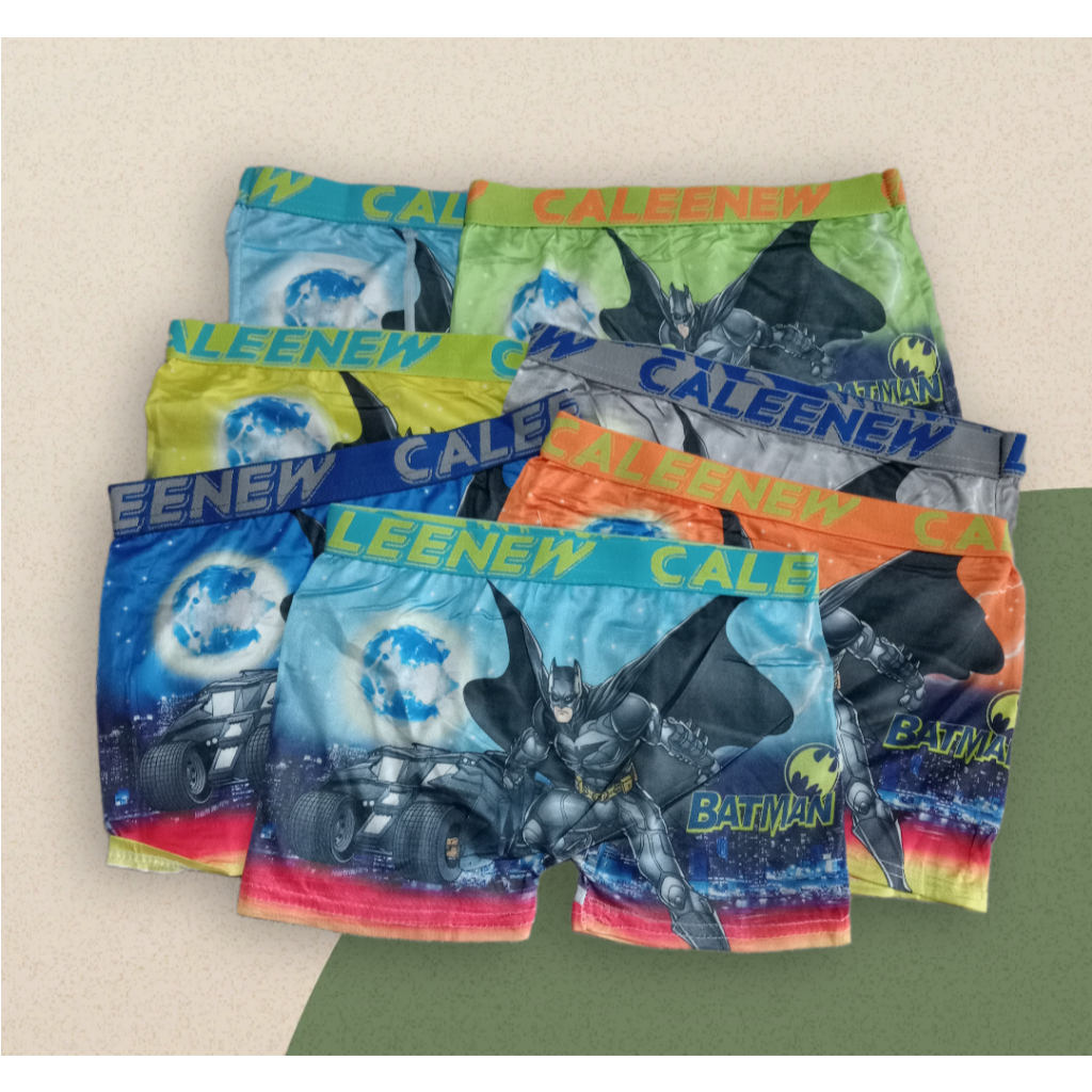 RB 6pcs CD Boxer Anak Laki laki IMPORT, Celana Dalam Boxer Anak Cowok, usai 3-6th (BB 10-25 kg)