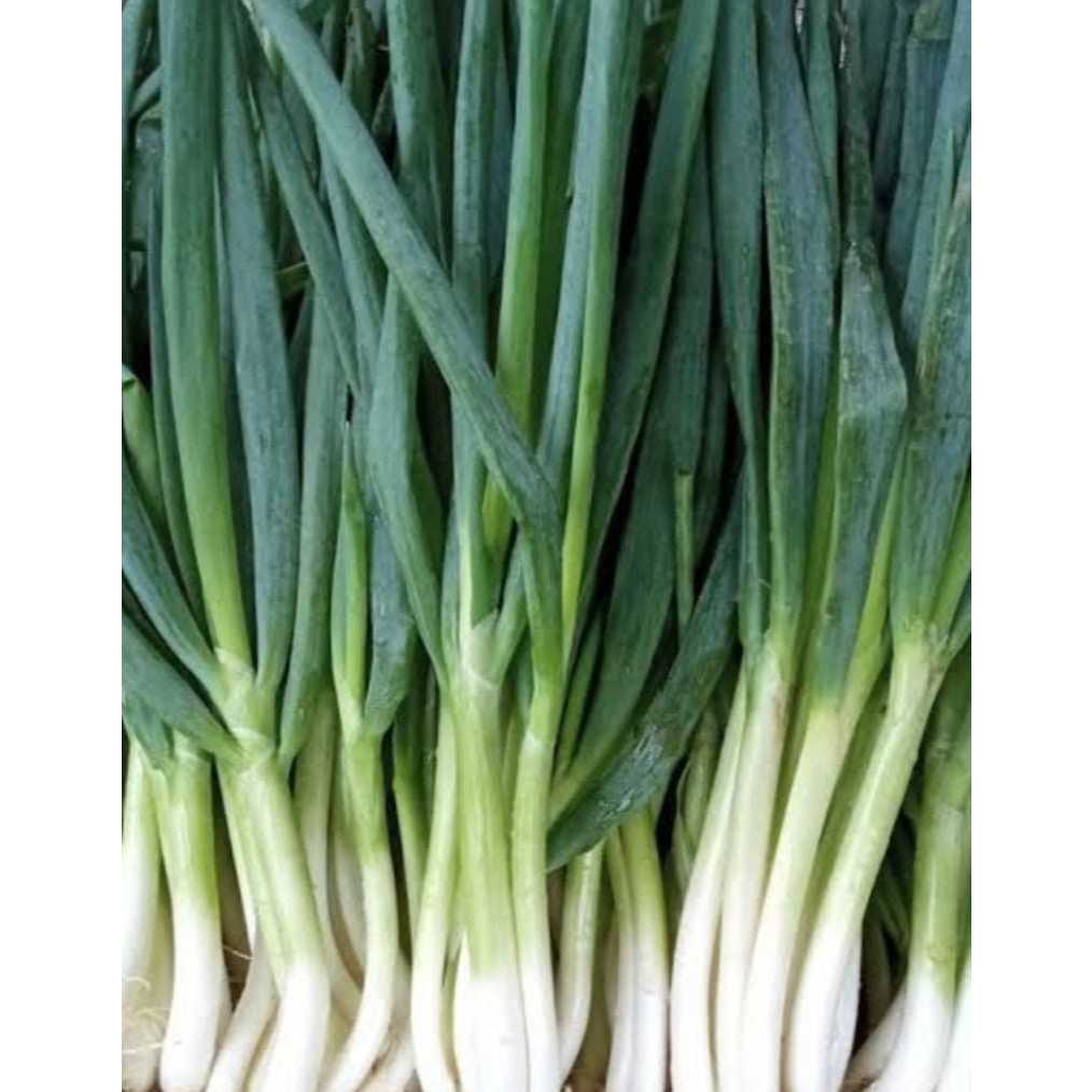 

Bawang Daun 100gr