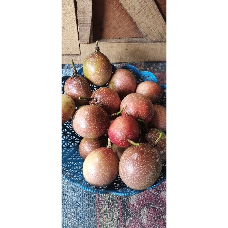 markisa ungu. markisa merah, markisa manis