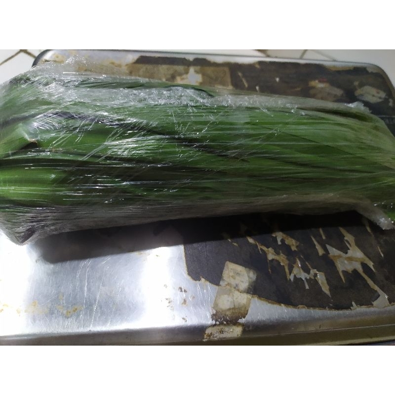 

daun pandan fresh