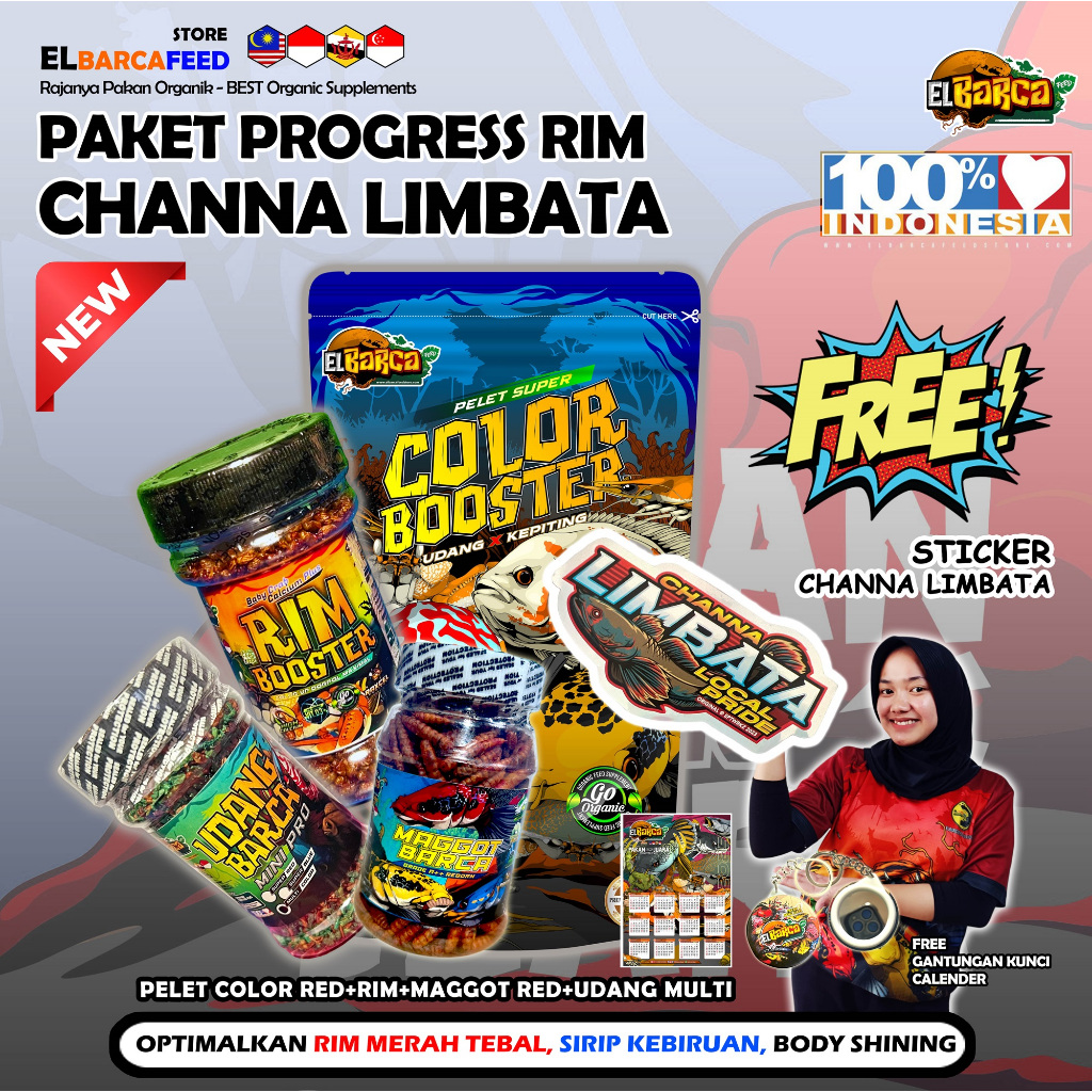 Sco PAKET PAKAN PELET CHANNA LIMBATA Optimalkan Rim Merah Tebal, Sirip fin Kebiruan+Free Sticker