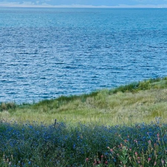 Carousell (hijab rabbani uk L)