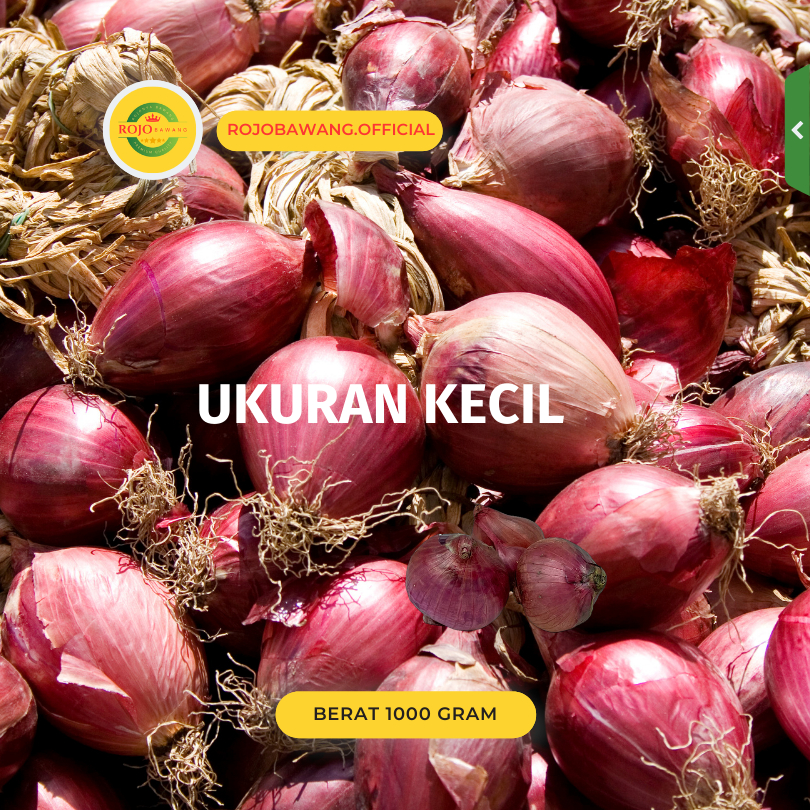 

Bawang Merah Nganjuk KERING 1 Kg "KECIL RATA" Bawang Mini/Gerusan/Ulekan
