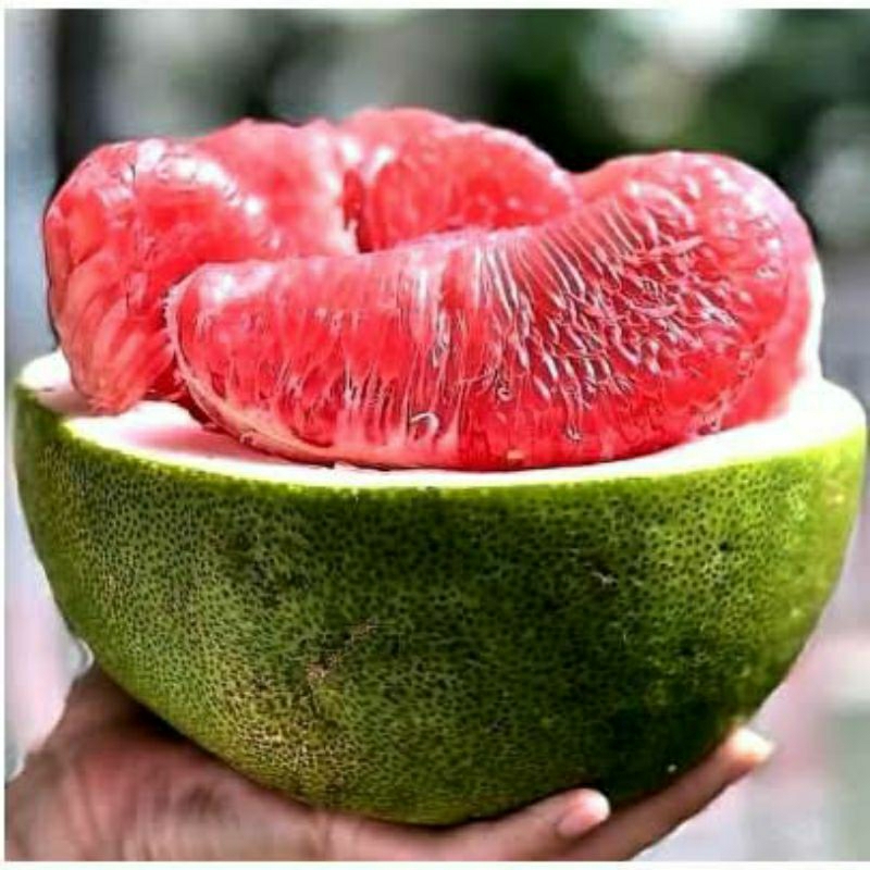 

paket usha 1,5kg 10 pcs