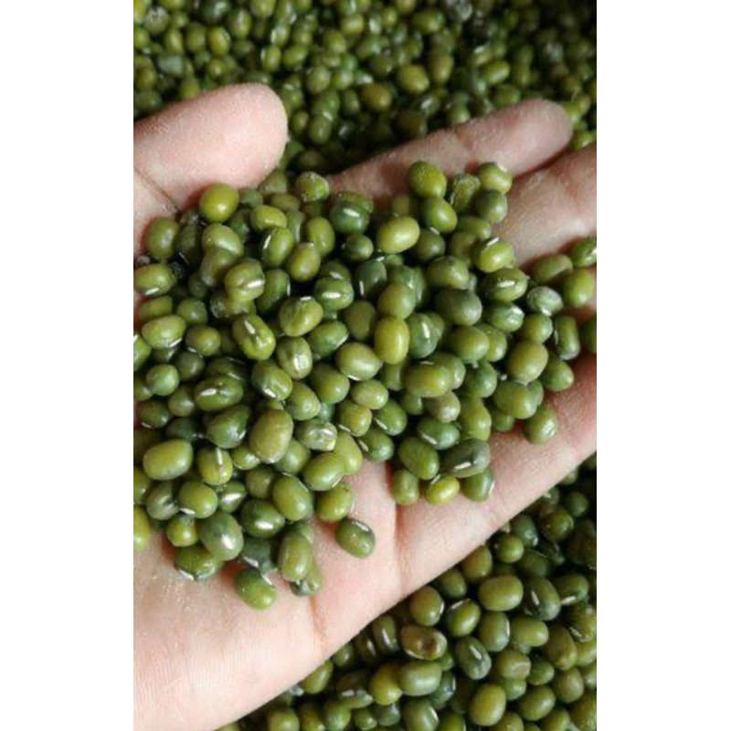

Kacang ijo asli madura