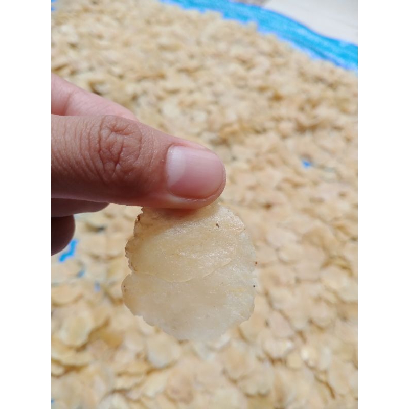 

1 KG bersih Emping Melinjo Khas Menes Pandeglang Ukuran 1 Super