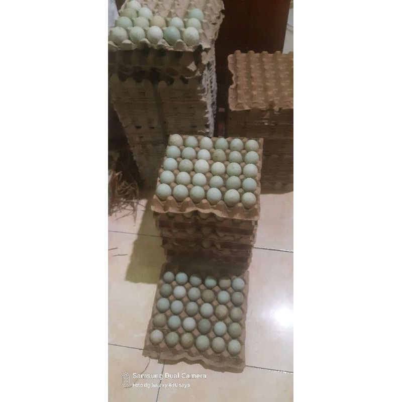 

Telur Bebek