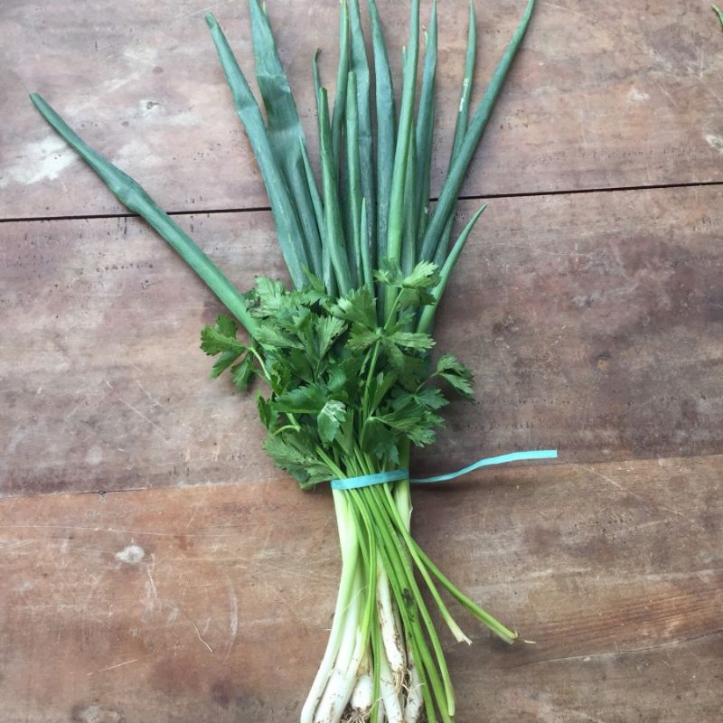 

daun bawang & saledri