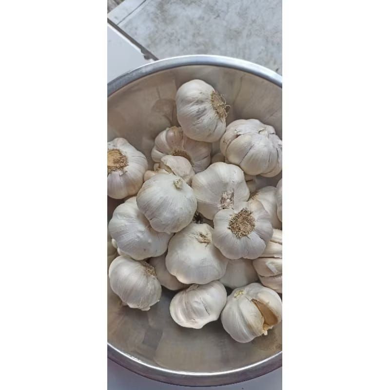 

Bawang putih bersih 1kg termurah