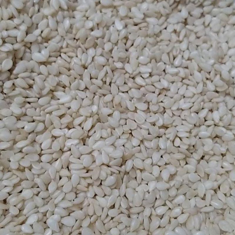 

WIJEN SANGRAI PUTIH KUALITAS SUPER AAA REPACK 100 GRAM