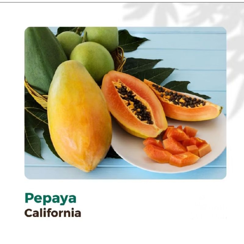 50 Biji Benih Unggul Pepaya California Madu