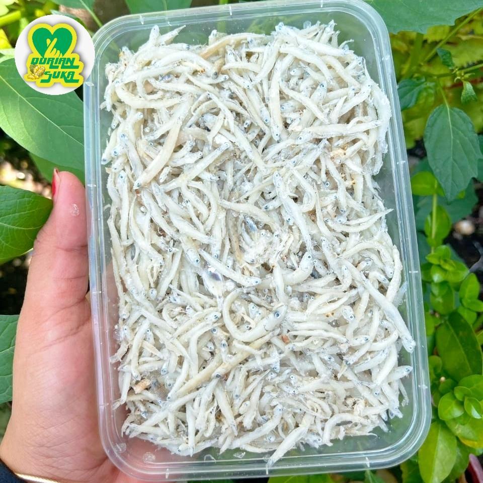 

Teri Nasi Medan / Teri Medan Super